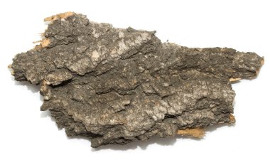 Saplama günlük kabuk ahşap doku ile