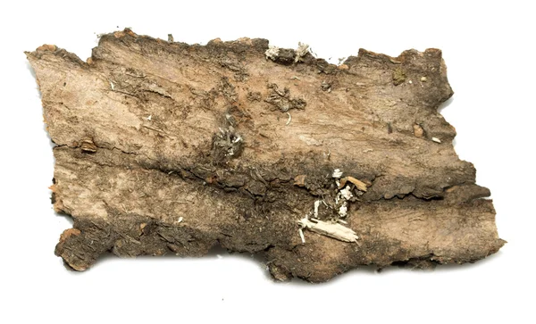 木製の質感を持つスタブ ログ樹皮 — ストック写真
