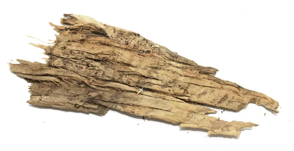 Кора бревен с деревянной текстурой — стоковое фото