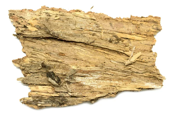 Bark log Stub com textura de madeira — Fotografia de Stock