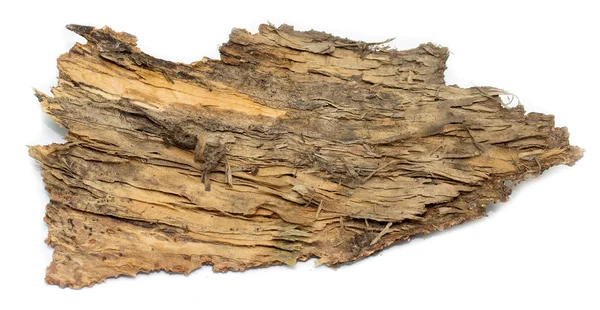Stub log bark with wooden texture — Stock Photo, Image
