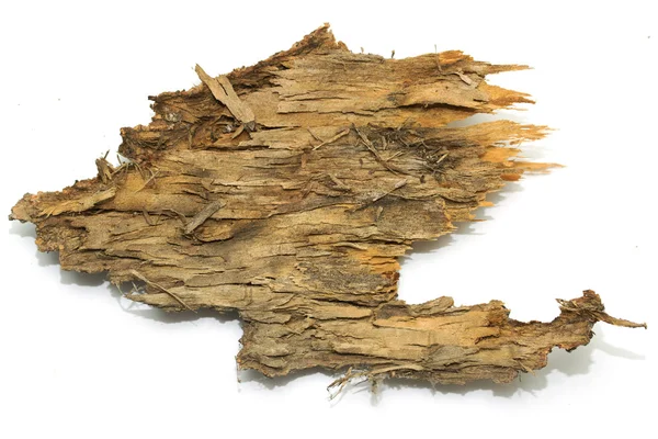 Stub écorce de bûche avec texture en bois — Photo