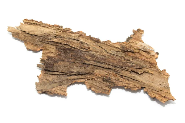 Στέλεχος καταγραφής φλοιός με ξύλινα υφή — Φωτογραφία Αρχείου