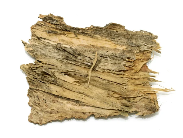 Bark log Stub com textura de madeira — Fotografia de Stock
