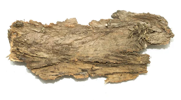 Stub log bark with wooden texture — Stock Photo, Image