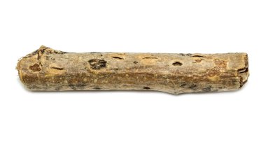ahşap dal izole