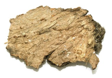 Saplama günlük kabuk ahşap doku ile