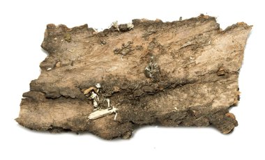 Saplama günlük kabuk ahşap doku ile