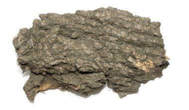 Saplama günlük kabuk ahşap doku ile