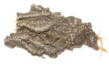 Saplama günlük kabuk ahşap doku ile