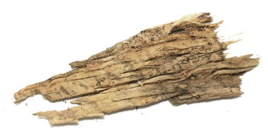 Saplama günlük kabuk ahşap doku ile