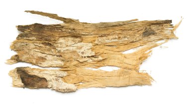 Saplama günlük kabuk ahşap doku ile