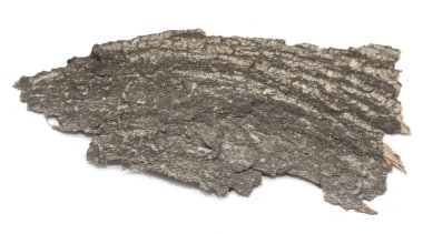 Saplama günlük kabuk ahşap doku ile