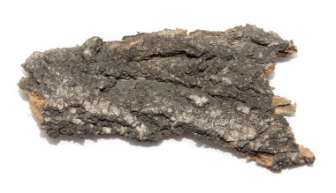 Saplama günlük kabuk ahşap doku ile