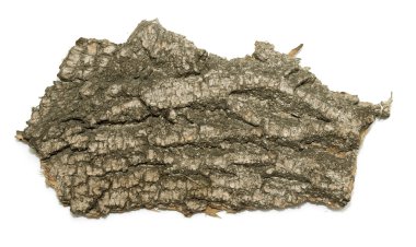 Saplama günlük kabuk ahşap doku ile