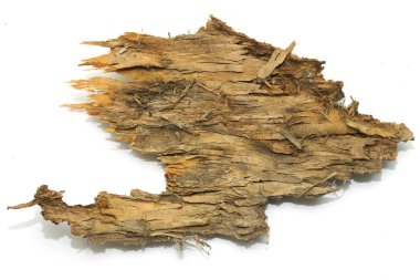 Saplama günlük kabuk ahşap doku ile