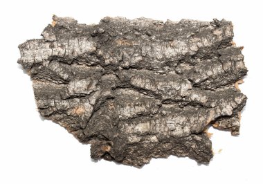 Saplama günlük kabuk ahşap doku ile