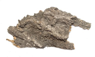 Saplama günlük kabuk ahşap doku ile