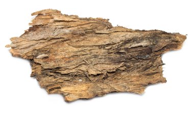 Saplama günlük kabuk ahşap doku ile