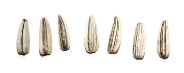 Kuru ayçiçeği tohumu