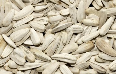 Kuru ayçiçeği tohumu