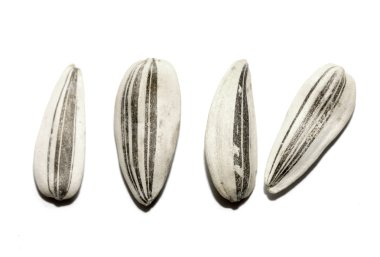 Kuru ayçiçeği tohumu