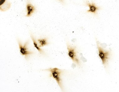 Yangın delik teknik inceleme