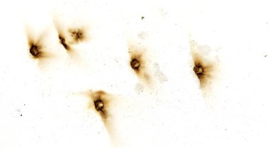 Yangın delik teknik inceleme