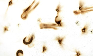 Yangın delik teknik inceleme