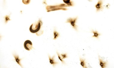 Yangın delik teknik inceleme