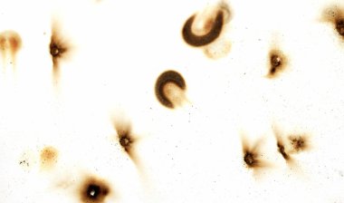 Yangın delik teknik inceleme