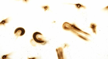 Yangın delik teknik inceleme