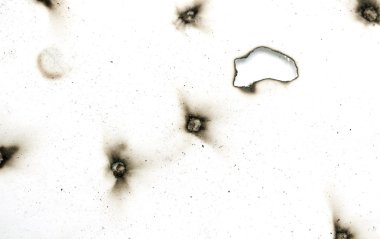 Yangın delik teknik inceleme