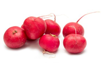 Bir beyaz üzerine kırmızı turp