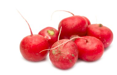 Bir beyaz üzerine kırmızı turp