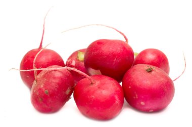 Bir beyaz üzerine kırmızı turp