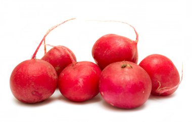 Bir beyaz üzerine kırmızı turp