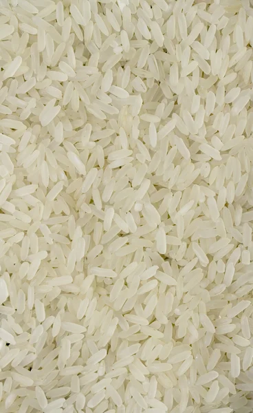 Rice grains background — Stock Photo, Image