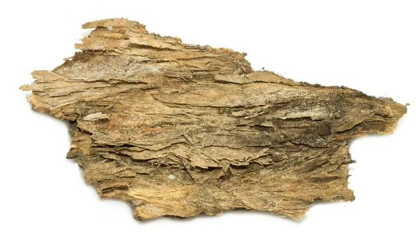 Isolated stub log bark — Stock Photo, Image