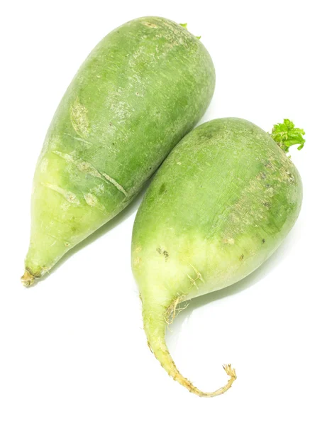 Rabanete verde em branco — Fotografia de Stock