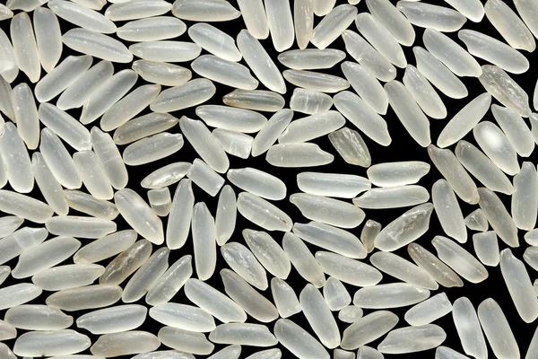 쌀 알갱이의 배경 — 스톡 사진