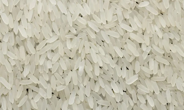 Фон рисовых зерен — стоковое фото