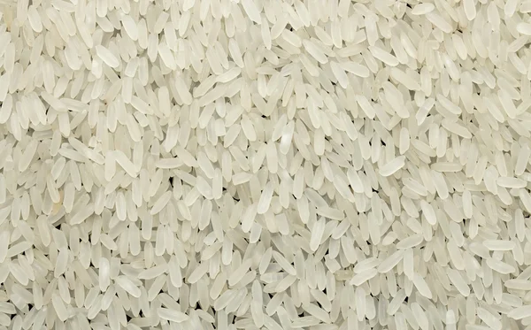 水稻籽粒的背景 — 图库照片
