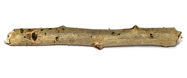 Wooden twig isolated — Stock Photo, Image