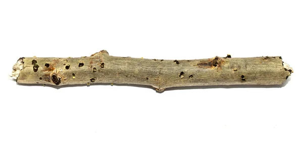 Wooden twig isolated — Stock Photo, Image