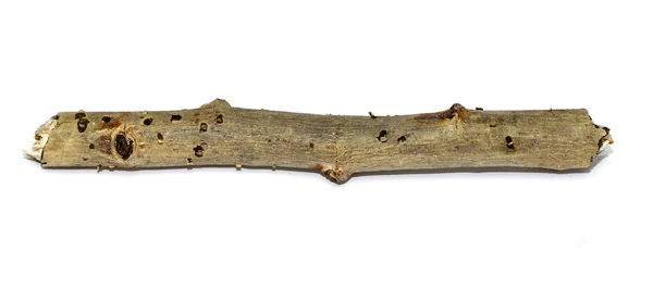 Drewniane gałązka na białym tle — Zdjęcie stockowe