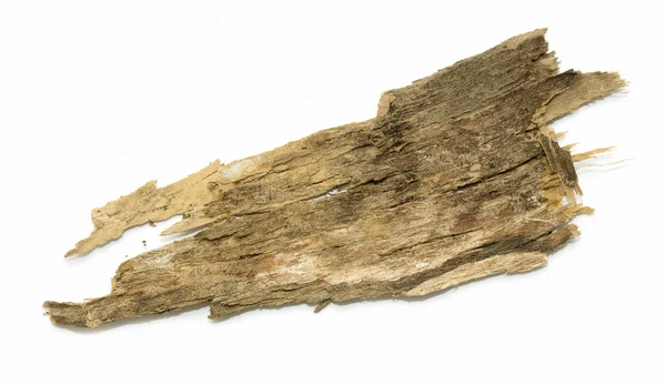 存根 (stub) 日志树皮与木质纹理 — 图库照片