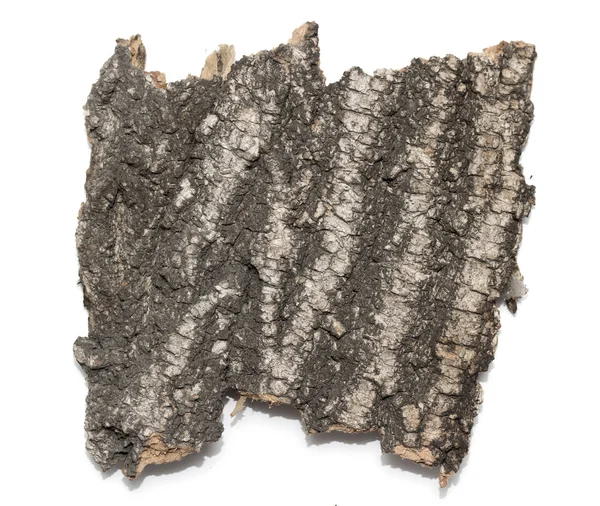Skrótowa dziennika kora z tekstury drewniane — Zdjęcie stockowe
