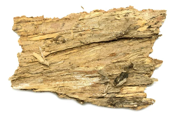Stub log schors met houten textuur — Stockfoto