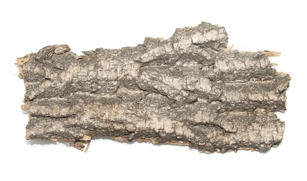 Кора бревен с деревянной текстурой — стоковое фото